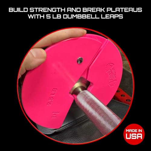 Image of Micro Gainz 2.5LB Dumbbell Fractional Weight Plates, 2-Piece
