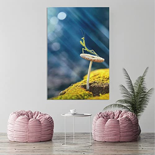 Praying Mantis On Mushroom Insects Canvas Poster Bedroom Decor Sports Landscape Office Room Decor Gift,Canvas Poster Wall Art Decor Print Picture Paintings For Living Room Bedroom Decoration 12X18Inch #TOP2