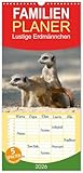 Familienplaner 2026 - Lustige Erdmännchen mit 5 Spalten (Wandkalender, 21 cm x 45 cm), CALVENDO: Lustige Fotos von jungen Erdmännchen (CALVENDO Tiere)