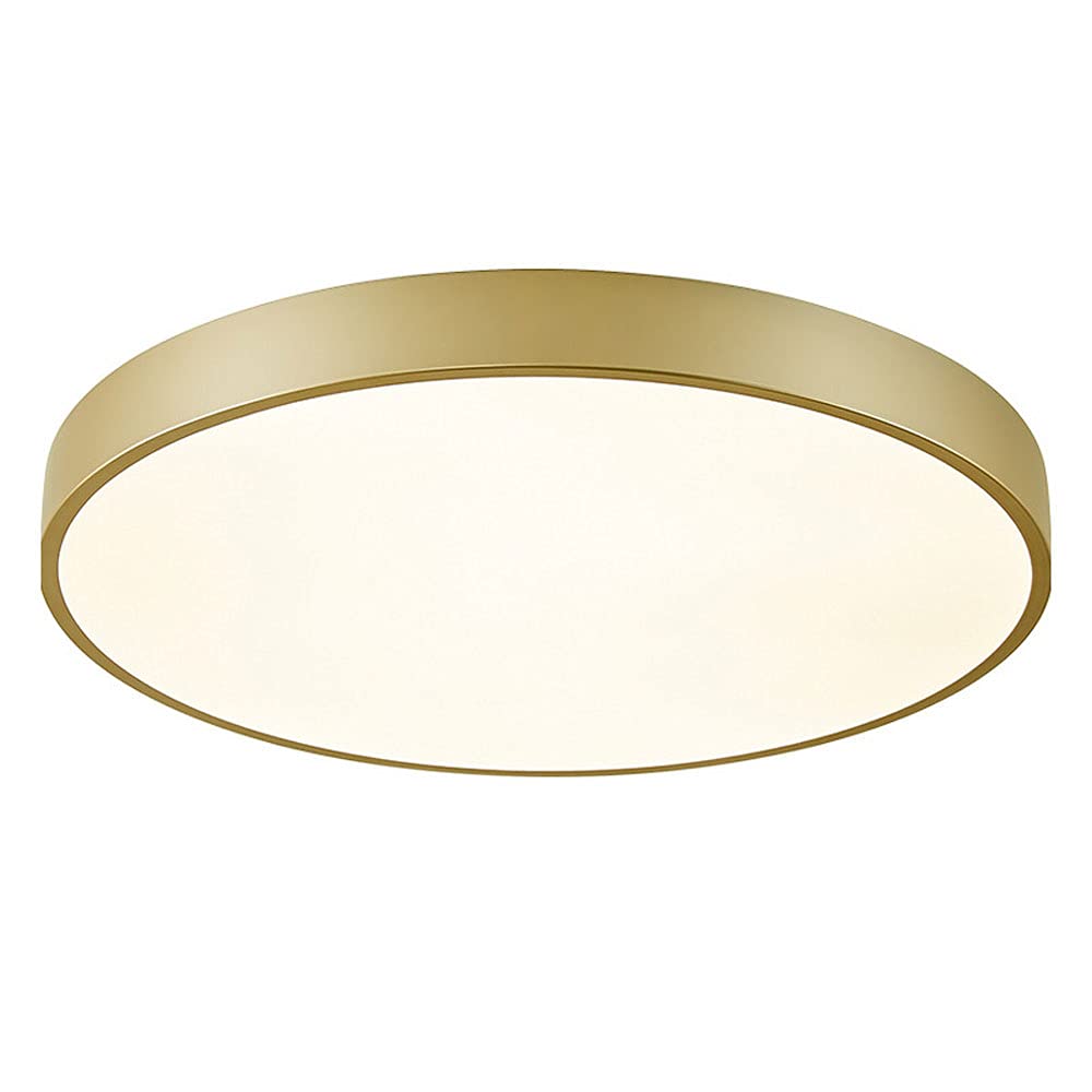Plafonnier LED romantique luminaire simple encastré économisant 50cm pour chambre d'hôtel