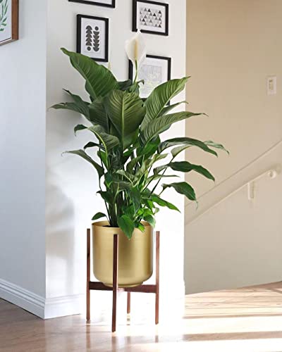 Vixdonos VOX20210325-GOLD Large Gold Planters Metal Aloe Brass-Tone Plant Pots Indoor Decorative Flower Pots thumb #5