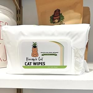 Grooming Wipes – Gentle Cat Cleaning Wipes – Hygienic Grooming Tool for Cats Ears, Paws, Bum, and Fur