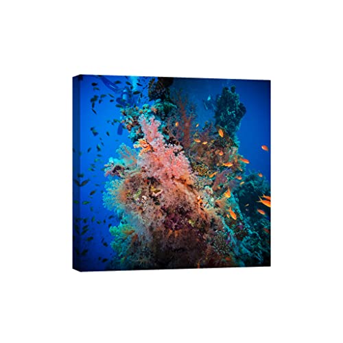 Tableau nature phosphorescent 80x80 cm DCL347-1 qui brille dans le noir