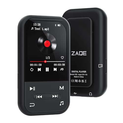 Portable Music Player