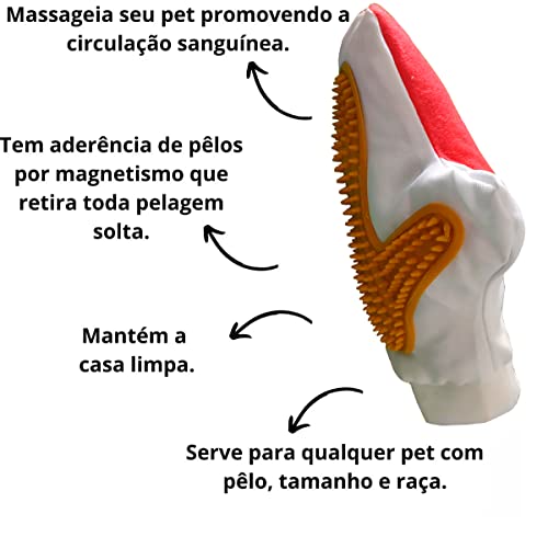 Tesoura Pet De Banho E Tosa Kit Com 4 Tesouras E 1 Pente Kit Pet Shop