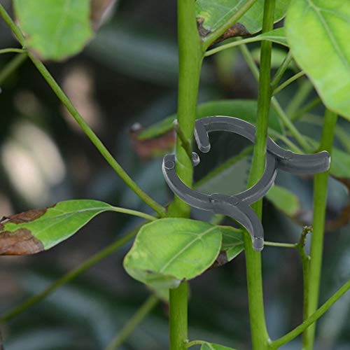 Durable Plant Clips Garden Flower Stem Accessories 200Pcs Vine Support Clips (20Mm) - Image 4