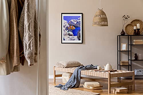 Cadre en bois MDF 50x70 cm avec affiche poisson Nemo pour décoration murale moderne