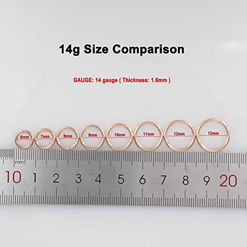 Image of FANSING Men Women 316L Surgical Steel Hinged Nose Rings Hoop for Nostril Septum Cartilage Helix Daith Tragus Rook Conch Lip Ear Lobe Piercings