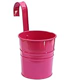 Stellen Sie sich Ihr Heim voller bunter Blumen, schmackhafter Kräuter, Paprika, saftiger Erdbeeren, Salate, Tomaten und vielem mehr vor.