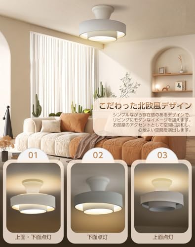 シーリングライト LED 間接照明 天井 リモコン付き おしゃれ 12段階 調光 調色 常夜灯モード 省エネ 消灯タイマー リビング 寝室 子供部屋 寝室 和室 洋室 洗面所 キッチン ledシーリングライト 北欧 おしゃれ 電気 日本語取扱説明書 【ユニバーサルstore】 (グレー, Φ30xH19cm 30W)