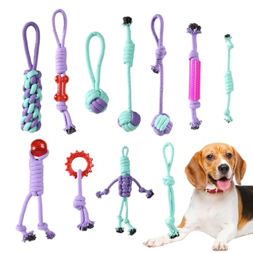 Jouets en corde pour chiens en coton robuste : évitez les destructions et stimulez votre animal