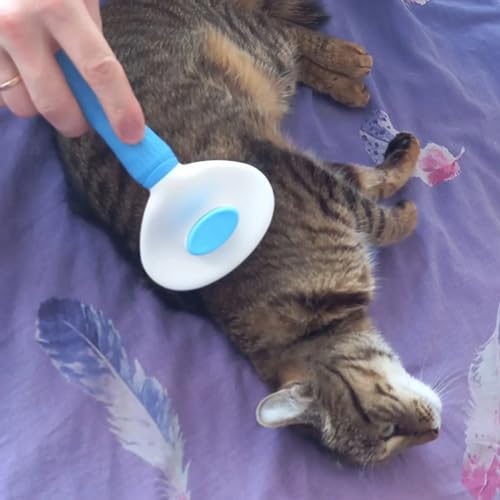 Escova Rasqueadeira Removedor Tira Pelos Animais Gato Cães Cahorro e Gato Auto Limpante Qualidade Pr