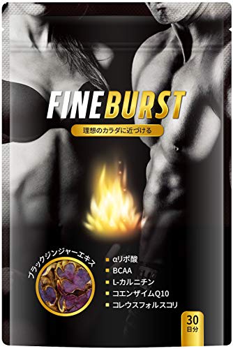【FINE BURST】 αリポ酸 BCAA サプリ 厳選素材 30日分