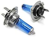 Xenon Optik Halogen Lampen passt für LKW: