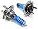 Produktbild * 24V * H7 Xenon Optik GAS Halogen Lampen Birnen TRUCK für LKW BUS Super White Birnen Autolampen 70W 100% Zugelassen im Bereich der StVZO