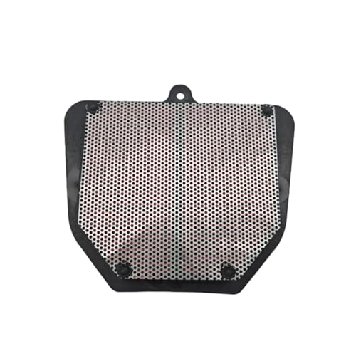Filtre à air réutilisable Voge 900 DSX pour moteur Loncin - 4