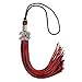 Endea Graduation Mixed Double Color Tassel with Silver Bling Charm (Black/Red, 2023)