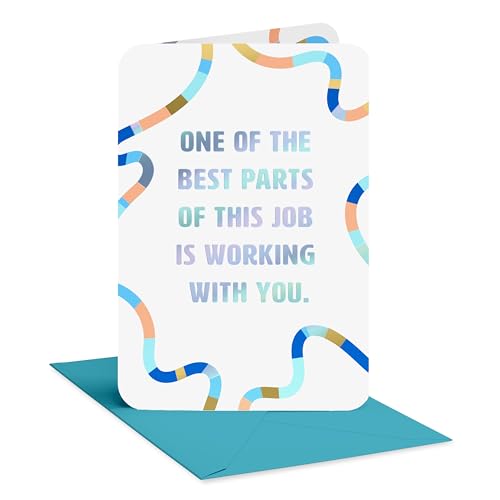 American Greetings Friendship Appreciation Card for Coworker, Colleague Gratitude Card (So Thankful)