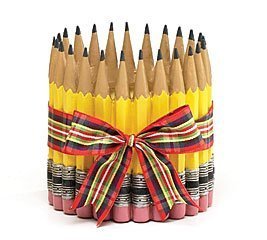 Pencil Shape Planter/Vase for Teacher,Classroom, Student, Home Decor