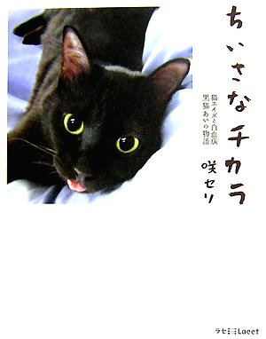 ちいさなチカラ―猫エイズと白血病 黒猫あいの物語 (ラセ)