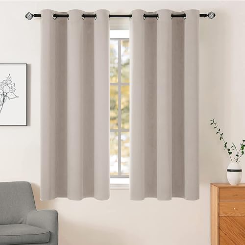 AR Ware Beige Blackout Curtains for Living Room - Eyelet Thermal Insulated Curtains for Bedroom Energy Saving Soundproof Drapes (66 x 54 inches)