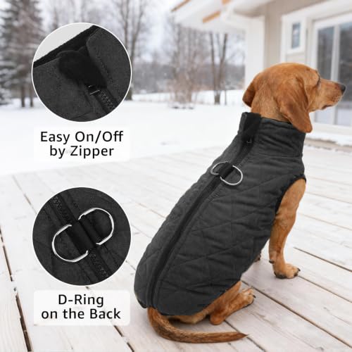 Image of SCENEREAL Dachshund Winter Dog Vest Coat with Harness Built in