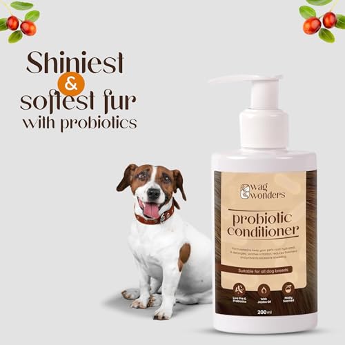 Image of Probiotic Dog Shampoo (200ml) + Conditioner (200ml) Combo,Pre & Pro-biotics, Jojoba Oil, Shea Butter, Reduces Shedding, Itchiness, Redness, Hydrates Coat,NO Parabens, NO Sulphates