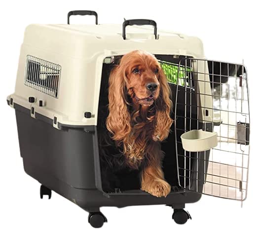 See full amazon price history chart for Dog Trust IATA Approved Plastic Flight Cage for Pets, Dog Flight Cage - Grey & White (36 inch flight cage) Dog Trust IATA Approved Plastic Flight Cage for Pets, Dog Flight Cage - Grey & White (36 inch flight cage) (B0C1G5P339) Amazon Price History, Amazon Price Tracker