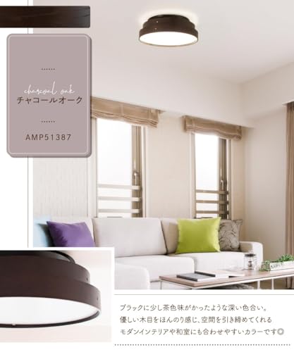 Amazon.co.jp: Ampoule: シーリングライト