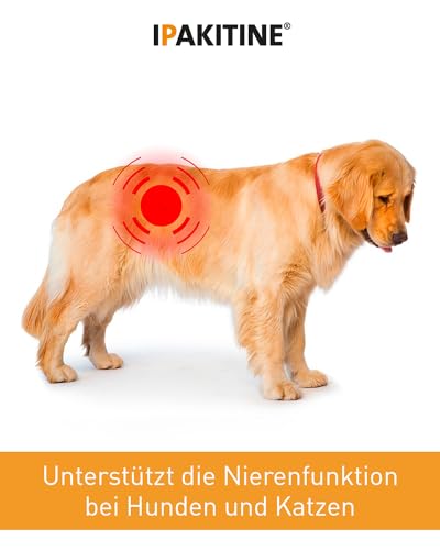 Vetoquinol Ipakitine | 300 g | Ergänzungsfuttermittel für Katzen und Hunde | Zur Unterstützung der Nieren | Bei Niereninsuffiziens | Pulver zur Einmischung in das Futter