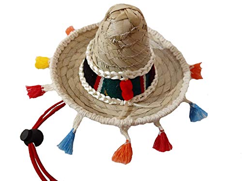 Poncho El Perro Handmade Dog Poncho From Mexican Serape- Dog Clothes thumb #2