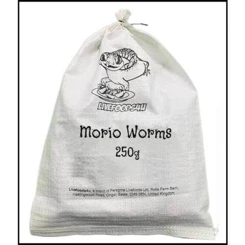 Livefoods4u Live Morio Worms 250g Bulk Bag (4-6cm) | Large Feeder Worms for Bearded Dragons, Monitors & Wild Birds | High Fat & Protein Livefood | Bulk Pack