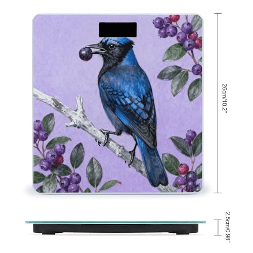 Báscula Digital para Peso Corporal Blue Jay con Arándanos miniatura 2