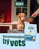 Green Petfood InsectDog hipoalergiczna karma dla dorosłych, sucha karma premium dla dorosłych psów alergicznych, bez zbóż, z białkiem owadów, zrównoważona karma dla psów (10 kg, 1 opakowanie)