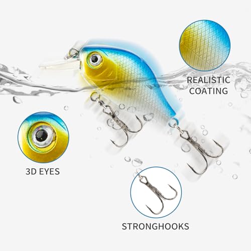 Leurres de pêche d'eau douce et bar avec boîte de rangement rigide portative