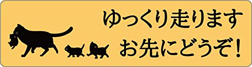 Amazon ポケットモンスター ランチクロス 2枚セット エースバーン ムゲンダナ ナフキン ポケモン ランチクロス オンライン通販