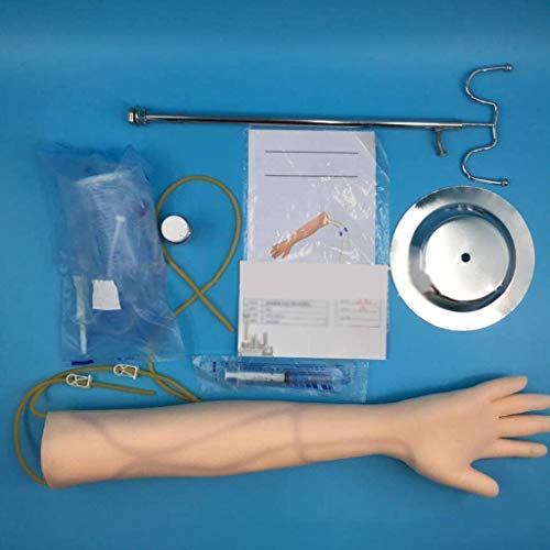 Venipuntura Modello Formativo Mano Modello di
