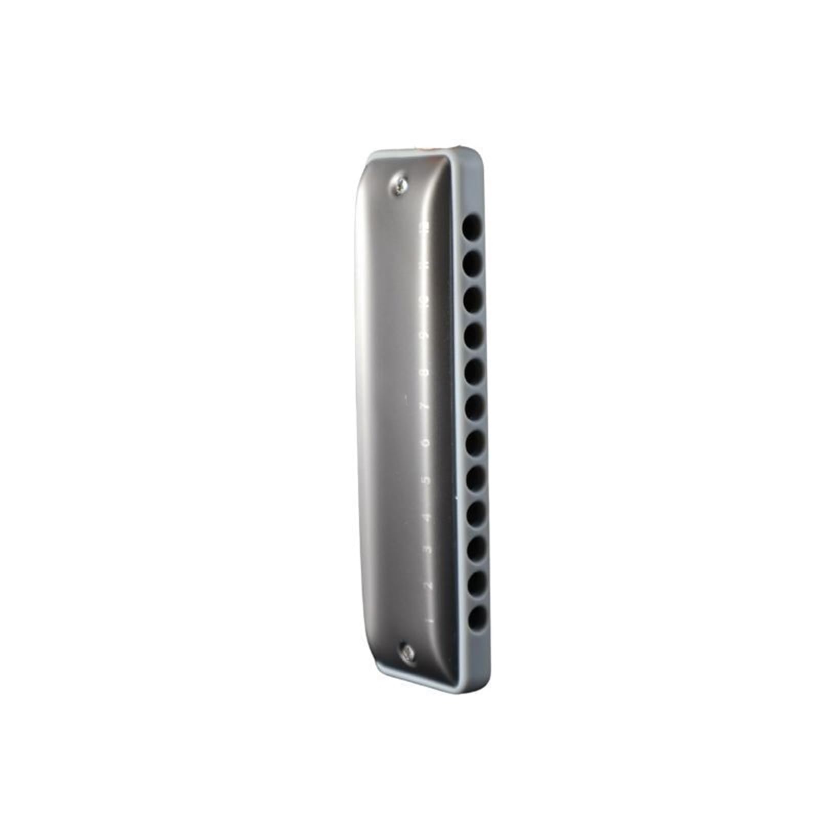 Principianti Armonica Armonica Diatonica A 12 Fori Tipo Di Strumento Per Principianti Musica Folk Pianoforte Classico