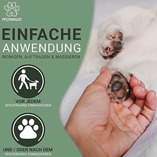 PFOTENGUT® Pfotenbalsam 100ml [Made in Germany] - Pfotenpflege für Hunde gegen trockene und Wunde Pfoten - Hochwertiger Pfotenschutz für Hunde mit Bienenwachs, Sheabutter & Aprikosenkernöl