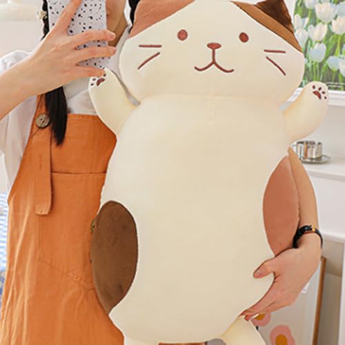 Peluche Chat et coussin décoratif pour le salon - 4