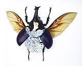 Asana Natural Arts Real Steampunk Beetle Frame - Vintage, Victorian, Classic, Unique, Office Decor,