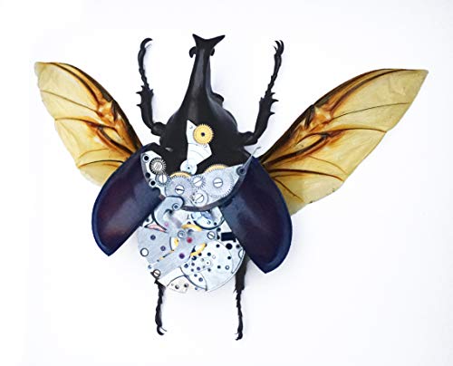 Asana Natural Arts Real Steampunk Beetle Frame - Vintage, Victorian, Classic, Unique, Office Decor, Furniture, Handmade Decoration (Small Beetle) (Small Beetle, 5 X 5) #TOP6