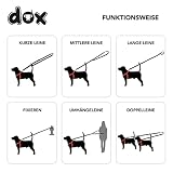 DDOXX Nylon Hundeleine - 2m, 3fach verstellbare Hundeleine für alle Hundegrößen - S (Blau)