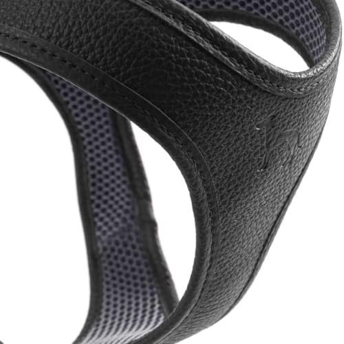 HUNTER Hundegeschirr Hilo, Farbe: schwarz, für kleine und kopfscheue Hunde, weiches Leder, gepolstert mit atmungsaktivem Mesh-Material, pflegeleicht und strapazierfähig, Made in Germany, Größe: XS