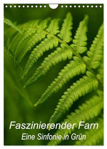 Faszinierender Farn - Eine Sinfonie in Grün (Wandkalender 2026 DIN A4 hoch), CALVENDO Monatskalender: Details von Farnpflanzen kunstvoll in Szene gesetzt (CALVENDO Natur)