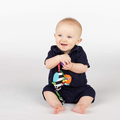 Sassy Boppin’ Birdie | Developmental Plush Toy For Early Learning | High Contrast | Attaches To Baby Gear For Travel | For Ages Newborn And Up (80660) #TOP5