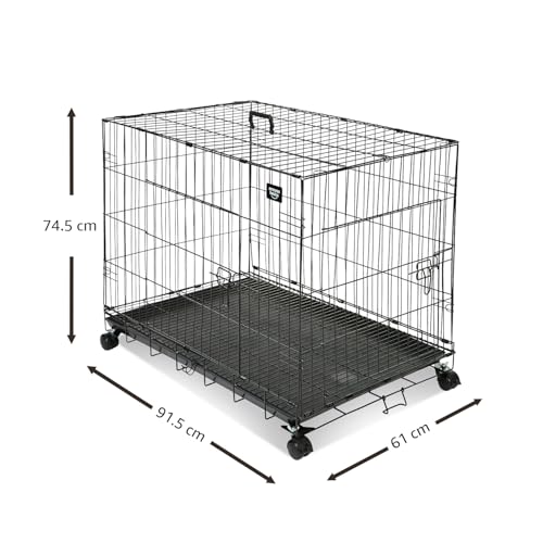 Product Variant View