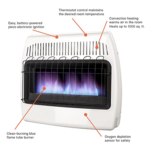 The 17 Best Natural Gas Heaters for Garage of 2024 [Verified] Cherry