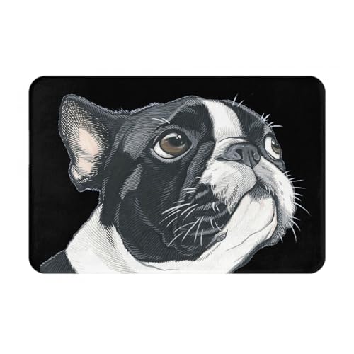 ���փ}�b�g�����{�X�g���e���A�A�j�������}�b�g�z�������R�ۖh�L�o�X�}�b�g�z������~�ߖh�J�r�������L���o�X���[���L�b�`���l�G���p�J�[�y�b�g���킢���v���[���g40×60cmR5T6Y17