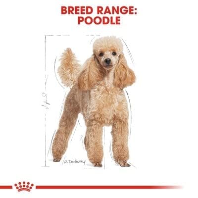 Royal Canin Pudel 1,5 kg